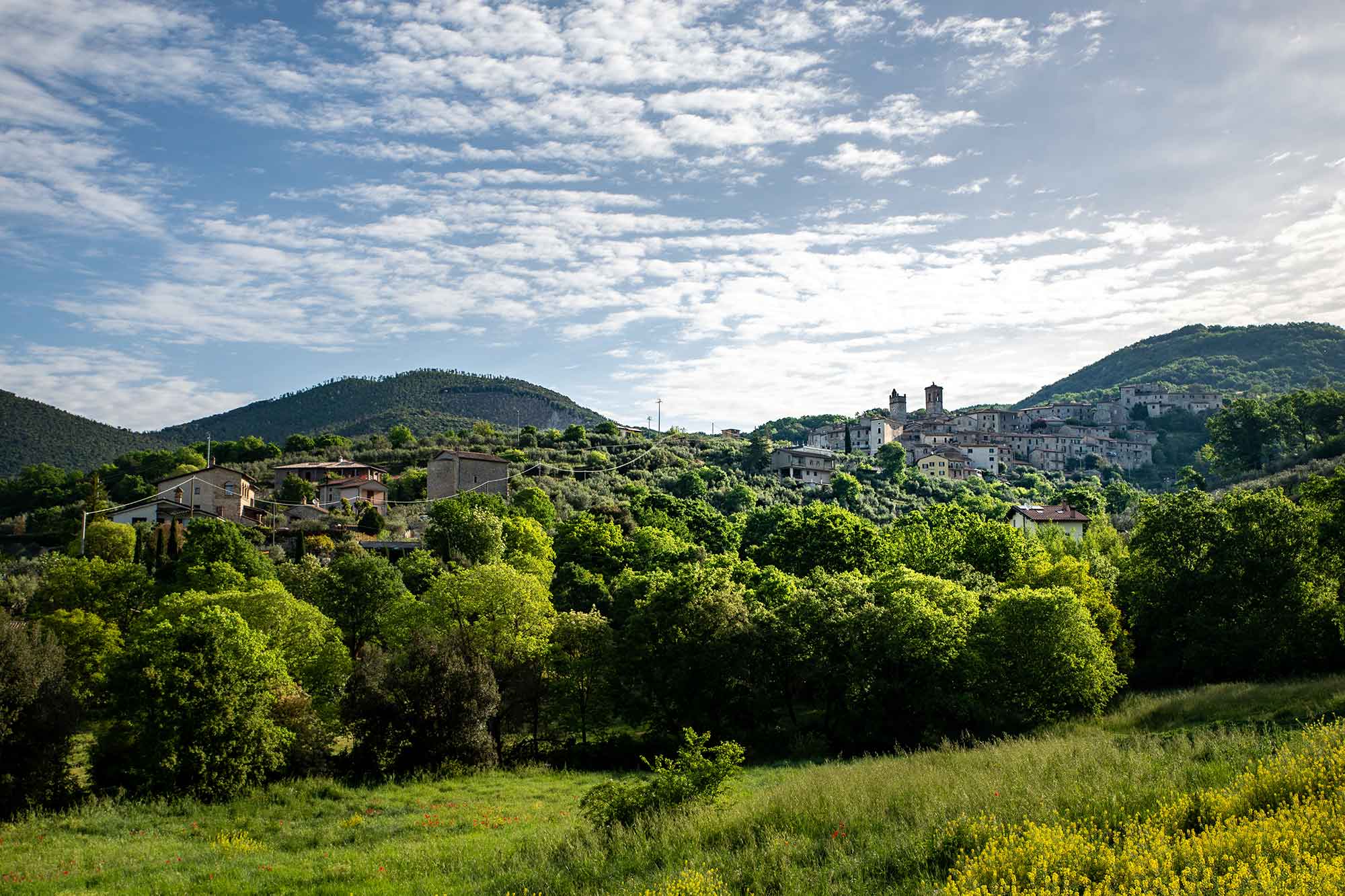 Pelion in Griechenland Landschaft mit Bäumen und Wiesen